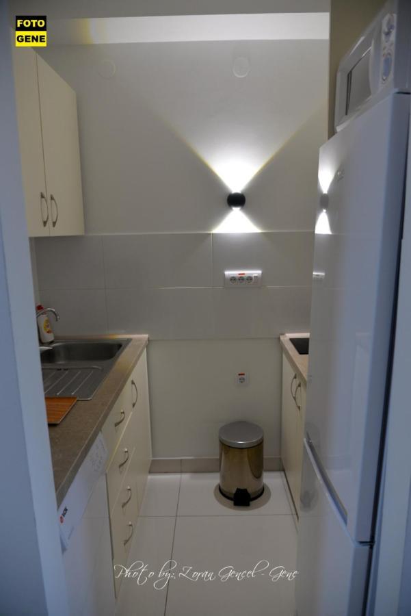 Apartment No 11 سوبوتيتْسا المظهر الخارجي الصورة