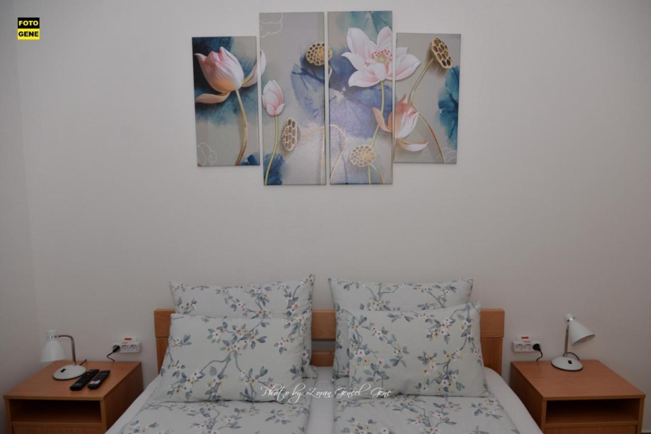 Apartment No 11 سوبوتيتْسا المظهر الخارجي الصورة